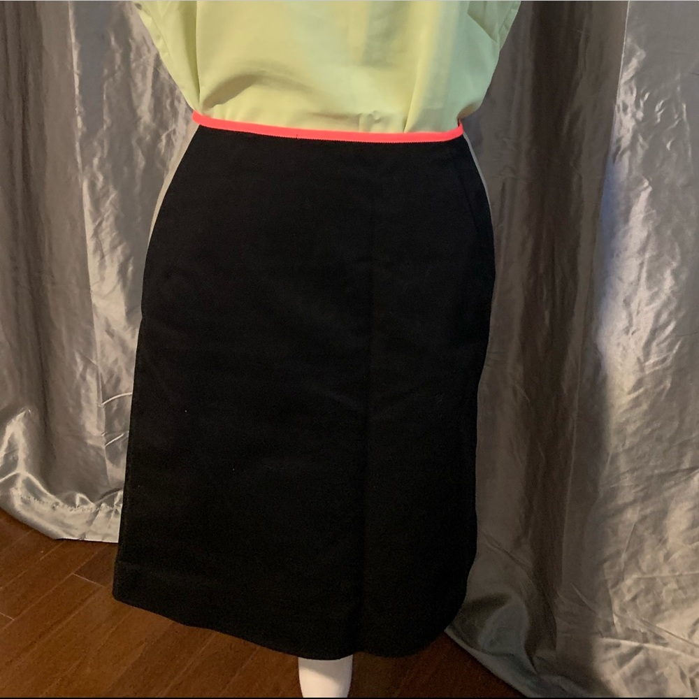 Block color skirt